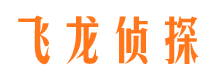 汝阳私家侦探